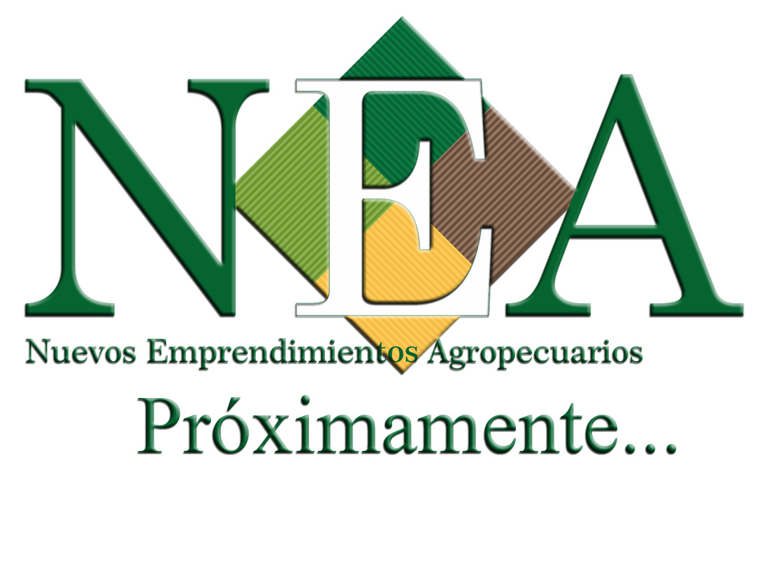 Estamos preparando nuestra web institucional